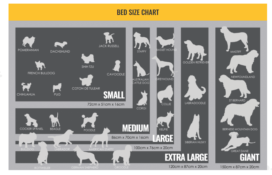 Chewproof Dog Beds