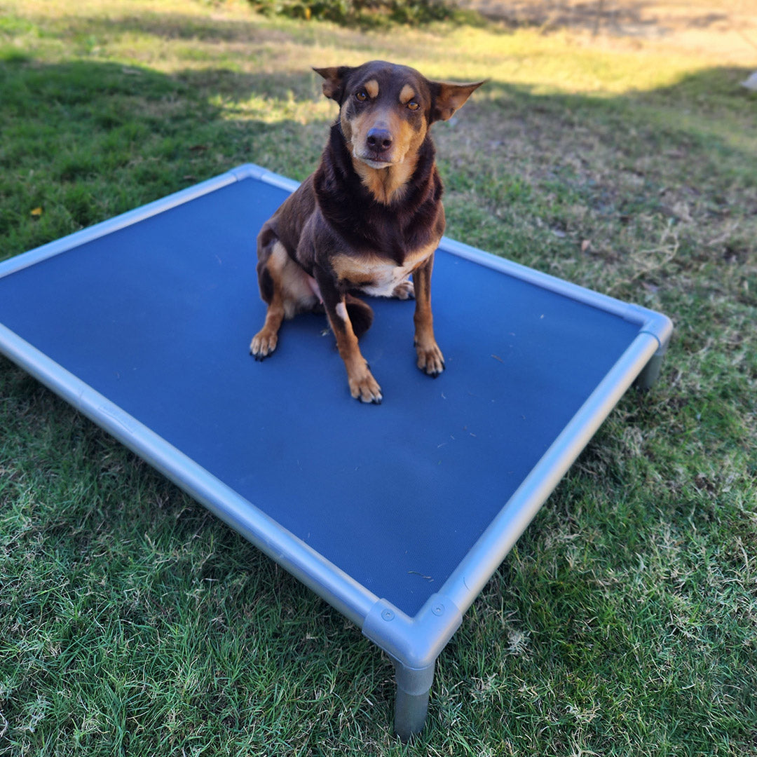 Chewproof Dog Beds