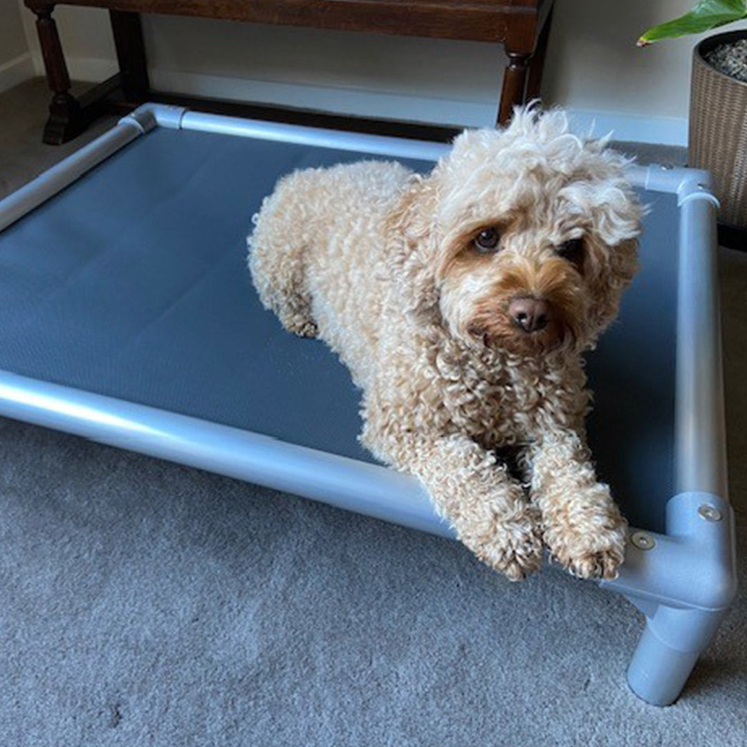 Chewproof Dog Beds